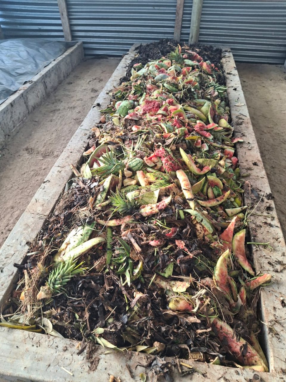 Organic Waste Valorisation
