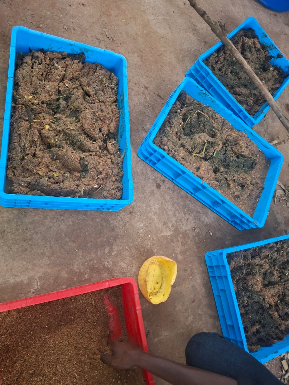 Vermicomposting